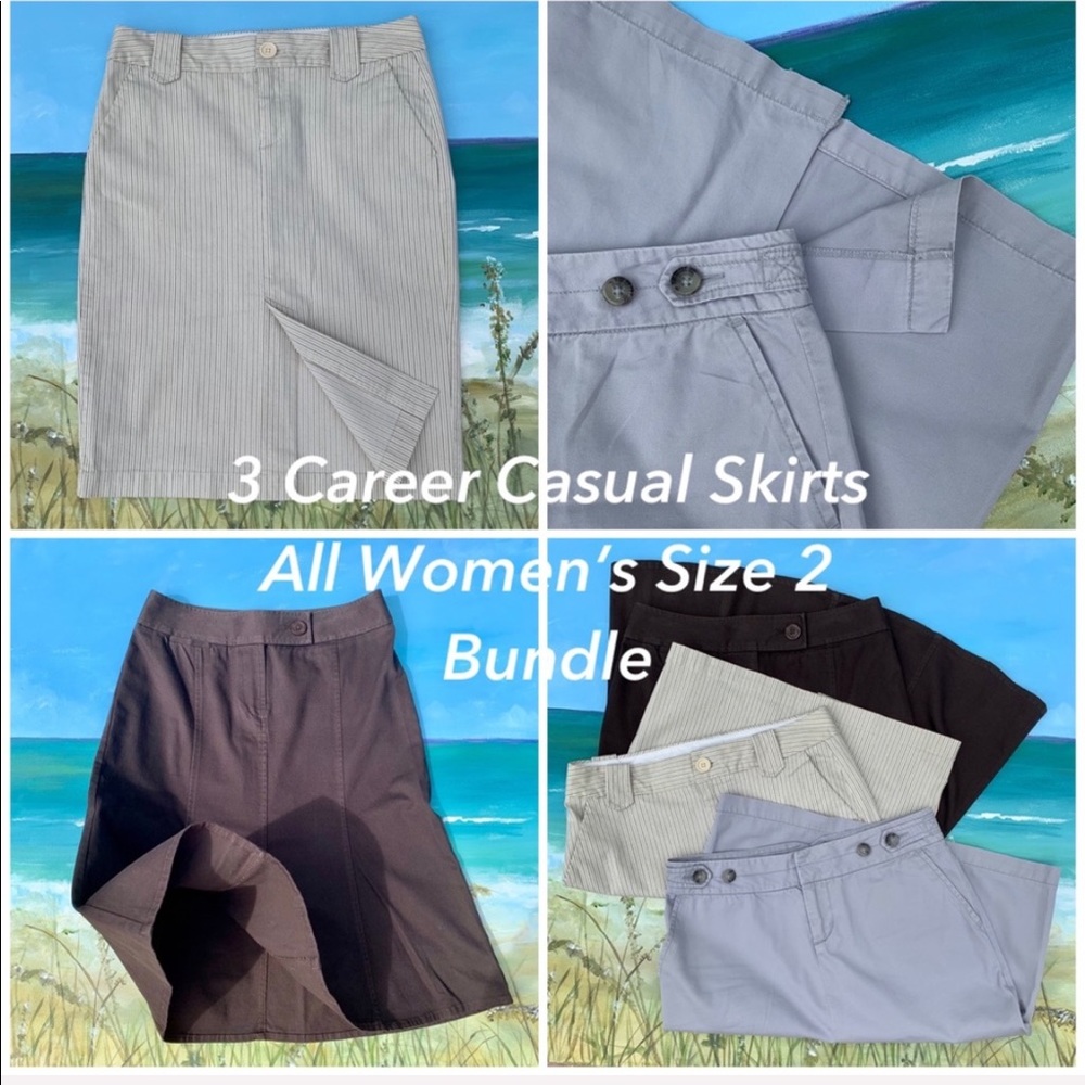 Ann Taylor, Banana Republic, GAP Skirts Size 2